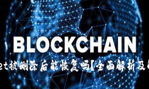 :tpwallet被删除后能恢复吗？全面解析及解决方案