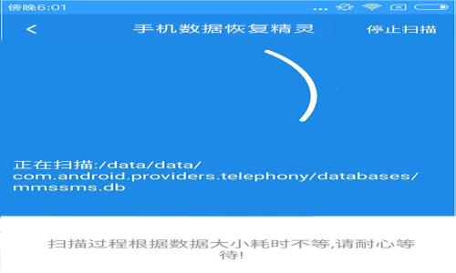 
TPWallet无法显示代币资产的解决方案与相关问题解析