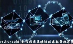 TPWallet与OKEx链：如何利用区块链技术提升数字资