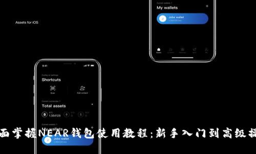 全面掌握NEAR钱包使用教程：新手入门到高级操作
