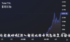 比特币钱包还能找回吗？深入解析比特币钱包恢