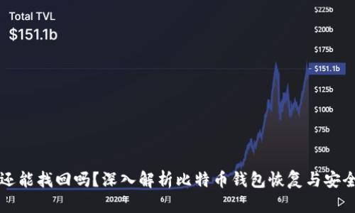 比特币钱包还能找回吗？深入解析比特币钱包恢复与安全的各个方面