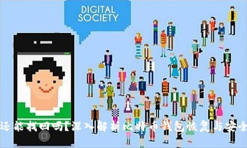 比特币钱包还能找回吗？深入解析比特币钱包恢复与安全的各个方面