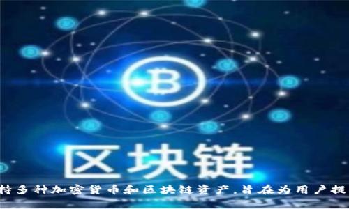 TPWallet 是由 TPChain 团队开发的，TPChain 是一家专注于区块链技术和数字资产管理的公司。TPWallet 是一款多链数字钱包，支持多种加密货币和区块链资产，旨在为用户提供一个安全、便捷的数字资产管理平台。这个钱包的推出，意在满足日益增长的加密货币用户的需求，提供简单易用的界面和强大的功能。