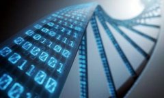 屎币（Shitcoin）通常是指那些没有实际价值或应用