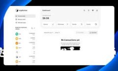 如何选择合适的钱包接收USDT？探寻数字货币钱包