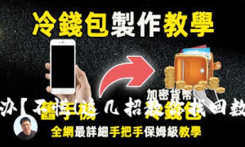 tpwallet丢了怎么办？不慌！这几招教你找回数字资产的心灵安宁