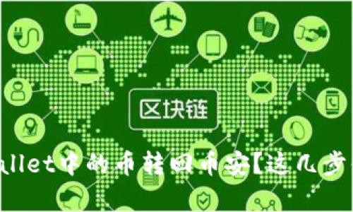 如何将TPWallet中的币转回币安？这几步你值得拥有！