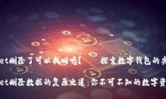 tpwallet删除了可以找回吗？——探索数字钱包的奥