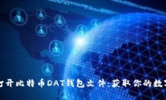 如何轻松打开比特币DAT钱包文件：获取你的数字