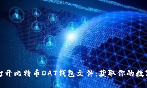 如何轻松打开比特币DAT钱包文件：获取你的数字资产之钥