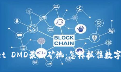 探索TPWallet DMD最新矿池：怎样抓住数字资产的潮流？