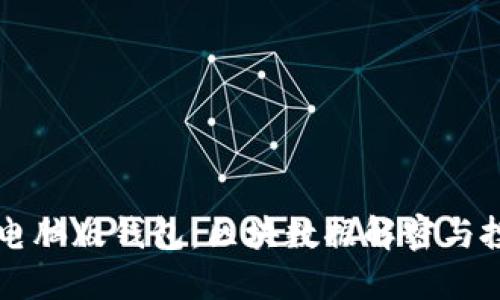 狗狗币电脑版钱包：区块数据解密与投资指南