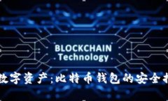 保护你的数字资产：比特币钱包的安全措施全解