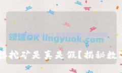 TPWallet上的链接挖矿是真是假？揭秘数字货币投资