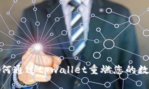 火种计划：如何通过tpwallet重燃您的数字资产梦想？