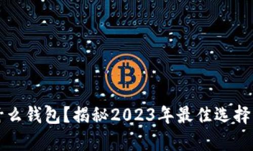 狗狗币存什么钱包？揭秘2023年最佳选择与安全提示