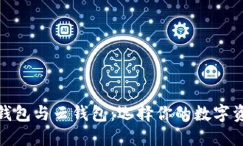 比特币本地钱包与云钱包：选择你的数字资产保护之道