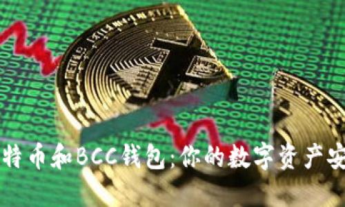 了解比特币和BCC钱包：你的数字资产安全之路