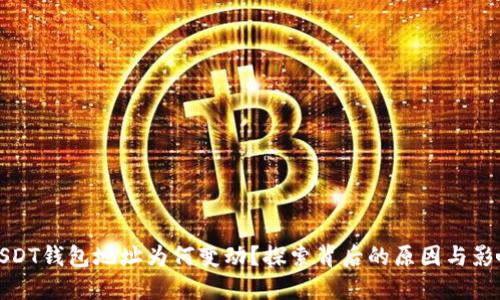 USDT钱包地址为何变动？探索背后的原因与影响