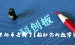 以太坊钱包里的币去哪了？揭秘你的数字资产存