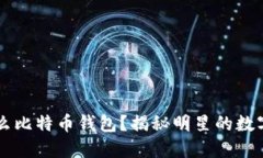李晨用的是什么比特币钱包？揭秘明星的数字资