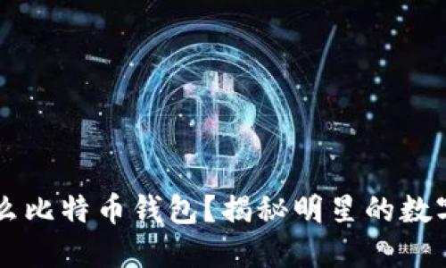 李晨用的是什么比特币钱包？揭秘明星的数字资产管理方式