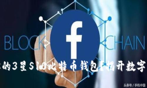 如何选择适合你的3星S10比特币钱包？揭开数字货币的神秘面纱