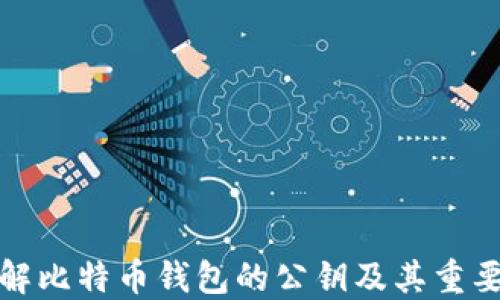 
详解比特币钱包的公钥及其重要性