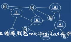 如何解密比特币钱包wallet.dat文件：全面指南