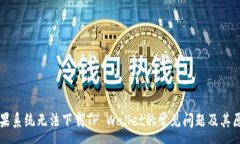 :解决苹果系统无法下载TP Wallet的常见问题及其原