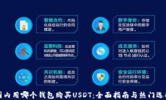 国内用哪个钱包购买USDT：全面指南与热门选择
