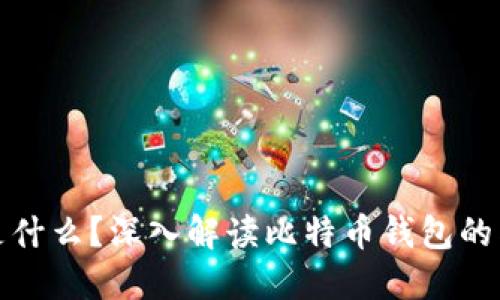 比特币钱包是什么？深入解读比特币钱包的类型与安全性