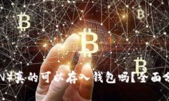 屎币（SHITCOIN）真的可以存入钱包吗？全面分析与