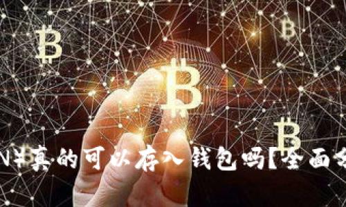 屎币（SHITCOIN）真的可以存入钱包吗？全面分析与用户指南