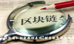TPWallet没有私钥能找回来吗？探索恢复钱包的可能