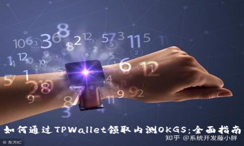 如何通过TPWallet领取内测OKGS：全面指南