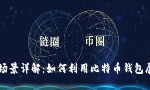 比特币钱包应用场景详解：如何利用比特币钱包展开数字货币交易