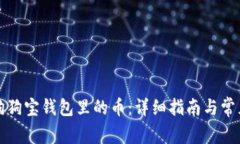 如何找回狗狗宝钱包里的币：详细指南与常见问
