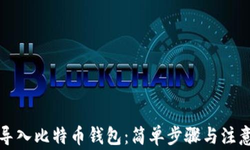 
如何导入比特币钱包：简单步骤与注意事项