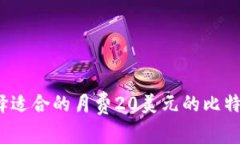 如何选择适合的月费20美元的比特币钱包？