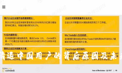 TPWallet清退中国用户的背后原因及未来趋势分析