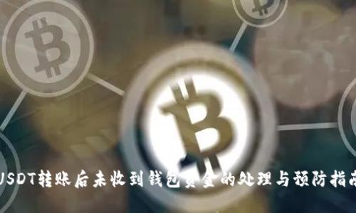 USDT转账后未收到钱包资金的处理与预防指南