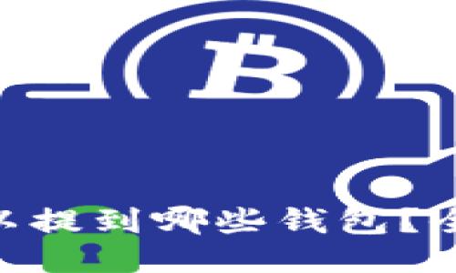  USDT可以提到哪些钱包？全方位指南